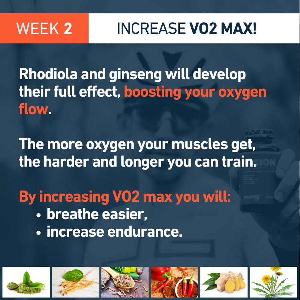 Fusion VO2 MAX + Burner