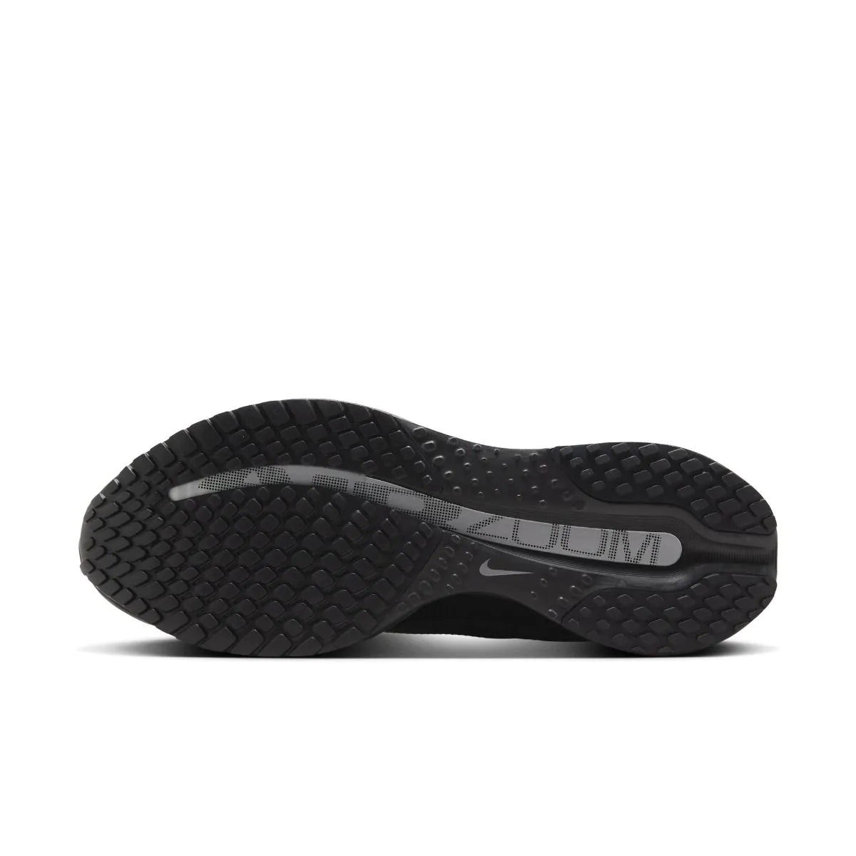 Nike Pegasus Premium bėgimo bateliai vyrams HQ2592-005