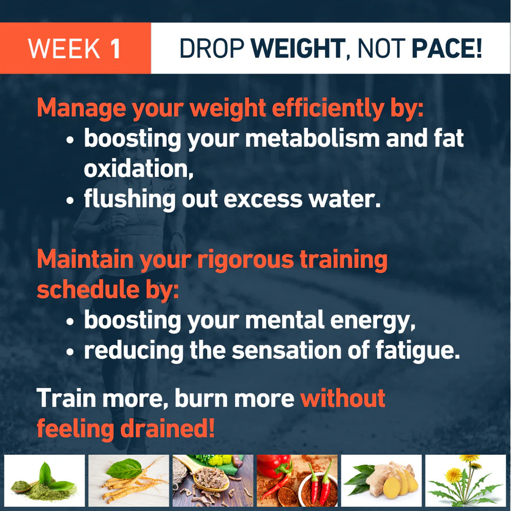 Fusion Vo2 Max + Burner