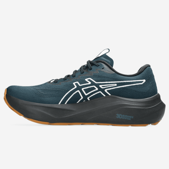 ASICS GT-2000 14 TR vyriški bėgimo batai