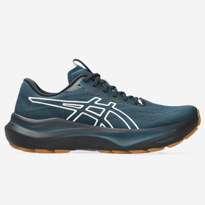 ASICS GT-2000 14 TR vyriški bėgimo batai
