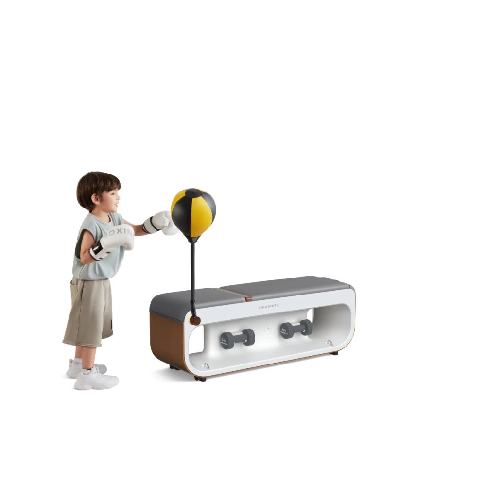 Kingsmith WalkingPad universal training bench