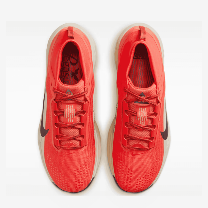 Nike ACG Pegasus Trail GTX Rausva/Smėlinė
