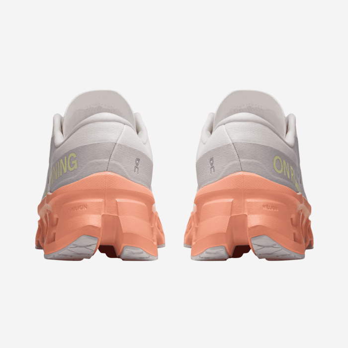 ON CLOUDMONSTER 3 Women's Running Shoes (Sp. White/Pink) - FitZone